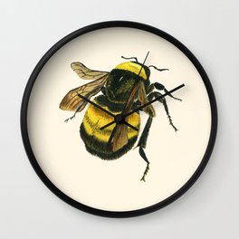 Vintage Scientific Bee Wall Clock