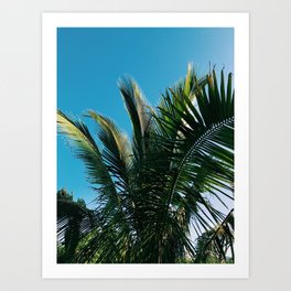 Underneath a Palm Tree Art Print
