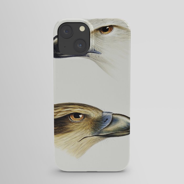 1. White-bellied sea eagle (Haliaeetus leucogaster) 2. Whistling kite (Haliastur sphenurus) illustra iPhone Case