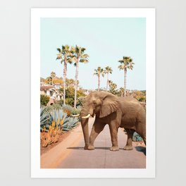Laguna Beach Elephant Art Print