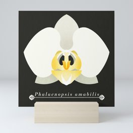 Orchid, Phalaenopsis amabilis Mini Art Print