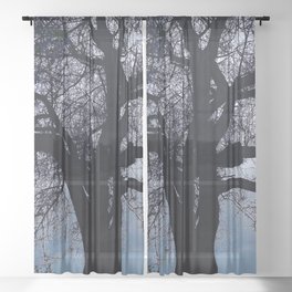 Early Spring Bare Tree  Sheer Curtain