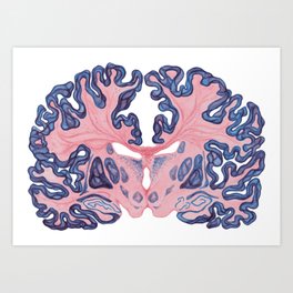 Gyri and Swirls of Human Brain Art Print
