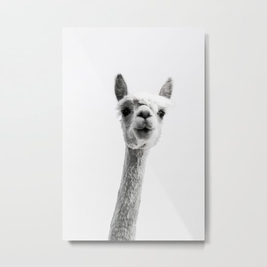 alpaca #society6 #decor #buyart Metal Print