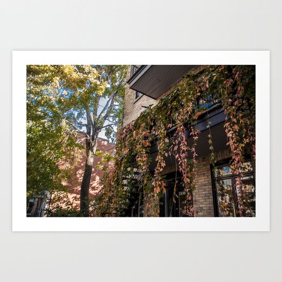 Autumn Vines Art Print