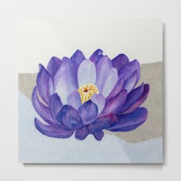 Blooming lotus 3 Metal Print