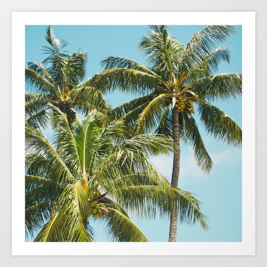 Coconut Palm Trees Sugar Beach Kihei Maui Hawaii Art Print