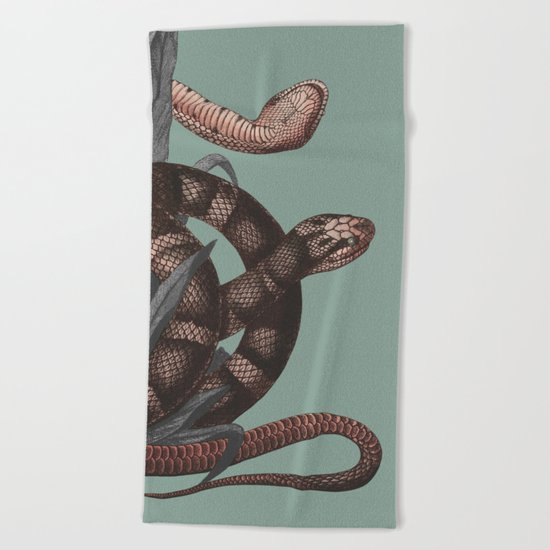 Snakes (animals collection) Beach Towel