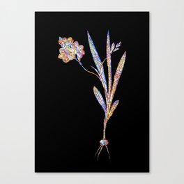 Floral Ixia Miniata Mosaic on Black Canvas Print