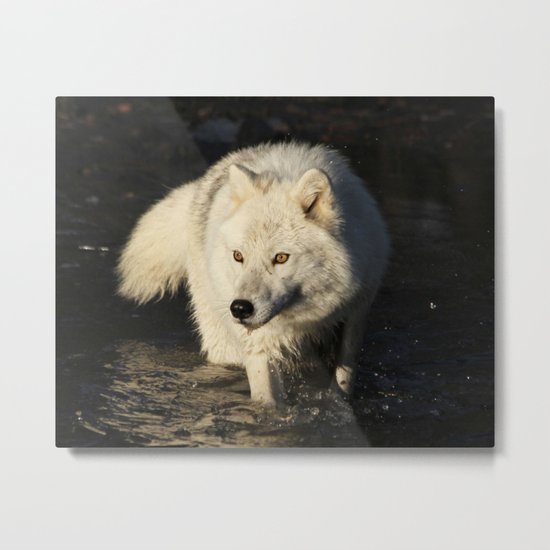 The lone sentinel Metal Print