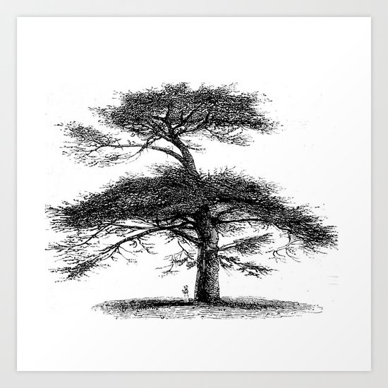 Big tree Art Print