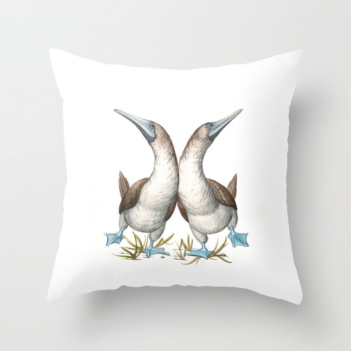 Blue-footed Booby (Sula nebouxii) Throw Pillow
