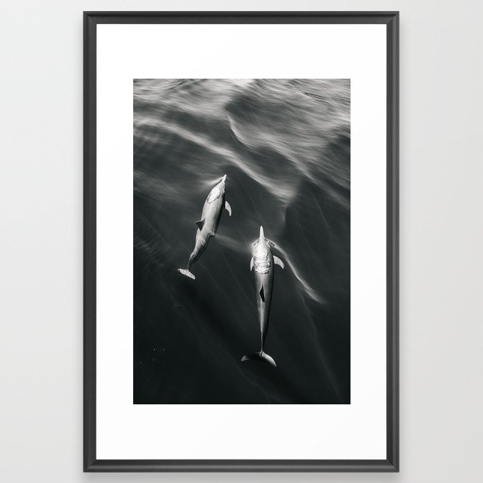 Dolphins II - BW Framed Art Print