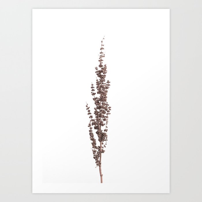 Dried Flowers Neutral Minimalist Art Print