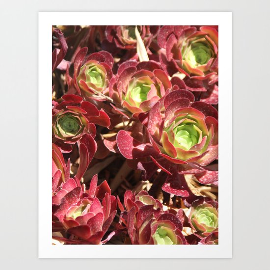 Natural carpet Art Print