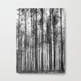 trees in forest landscape - black and white nature photography Metal Print