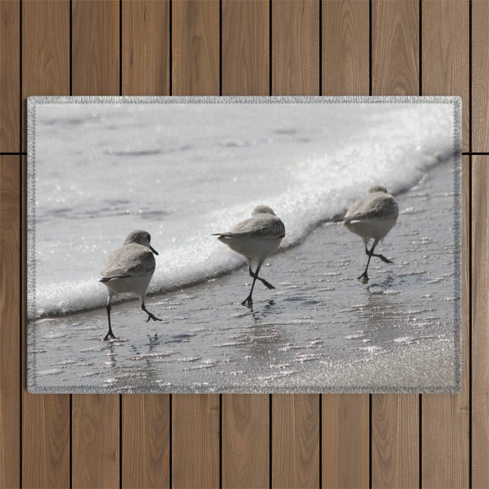 Sandpipers Birds on the Beach Outdoor Rug