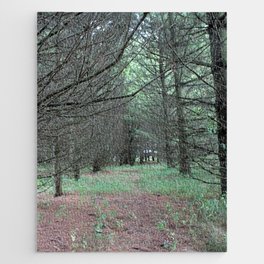 Trail in the Pine Forest Jigsaw Puzzle