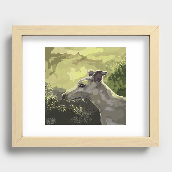 whippet in the sun Recessed Framed Print