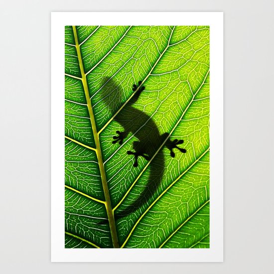 Lizard Art Print
