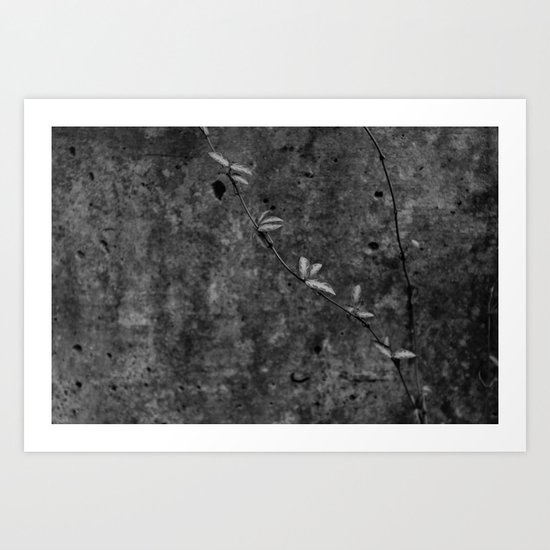 Leaf Trail Art Print