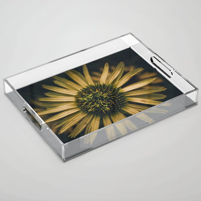 Moody Green Coneflower Acrylic Tray