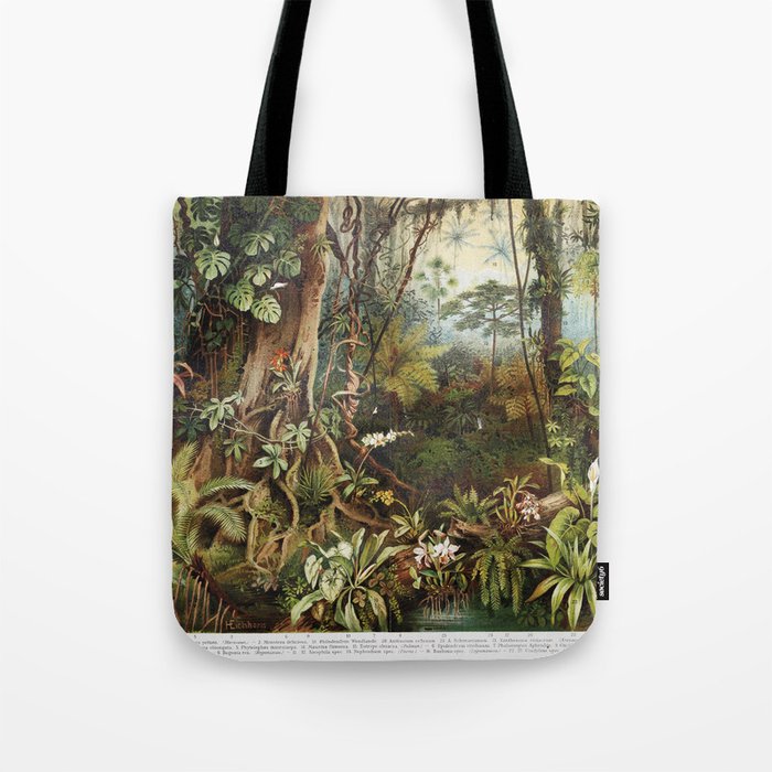 Vintage drawing of tropical forest plants from the beginning of 20th century period - Picture from Meyers Lexicon books collection (written in German language) published in 1908, Germany.  Tote Bag