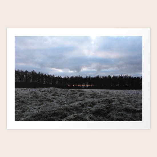Glimpse Art Print