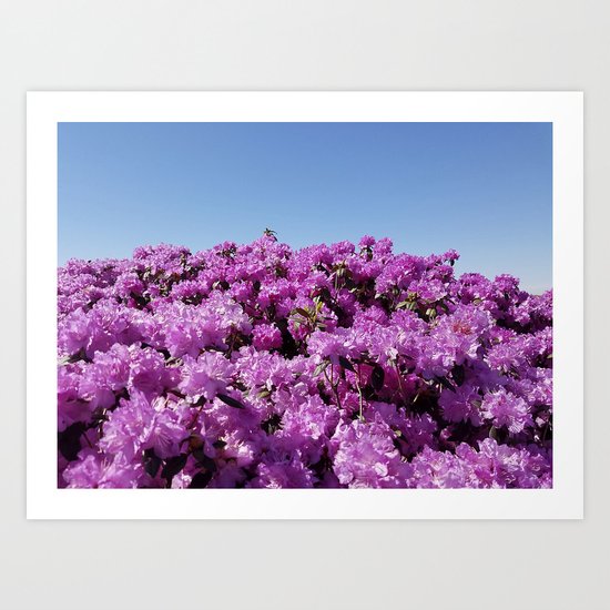 View of "Mount Rhodendron" on a clear day Art Print
