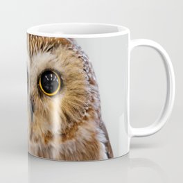 Closeup of a Cute Northern Saw Whet Owl Mug