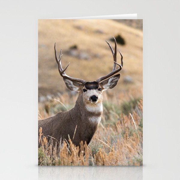 Mule Deer #01 Stationery Cards