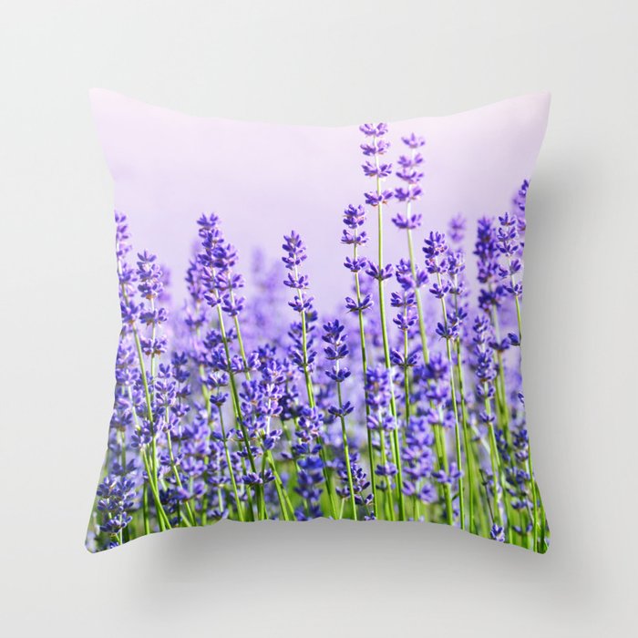 Lavender 15 Deko-Kissen Lavender 15 Deko-Kissen