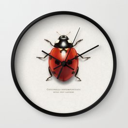 Seven spot ladybird Wall Clock