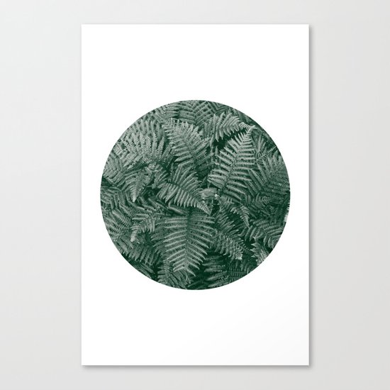 Fern Leaves Canvas Print