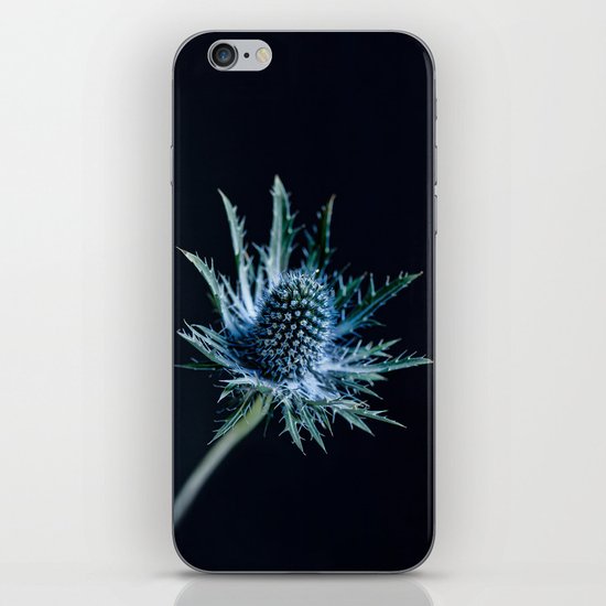 Blue Thistle iPhone & iPod Skin