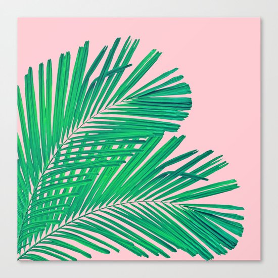 Palm leaf Canvas Print
