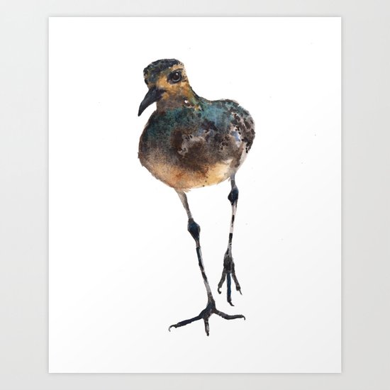 Bird Painting, plover watercolor Art Print