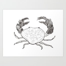 Sea Crab Monochromatic Art Print