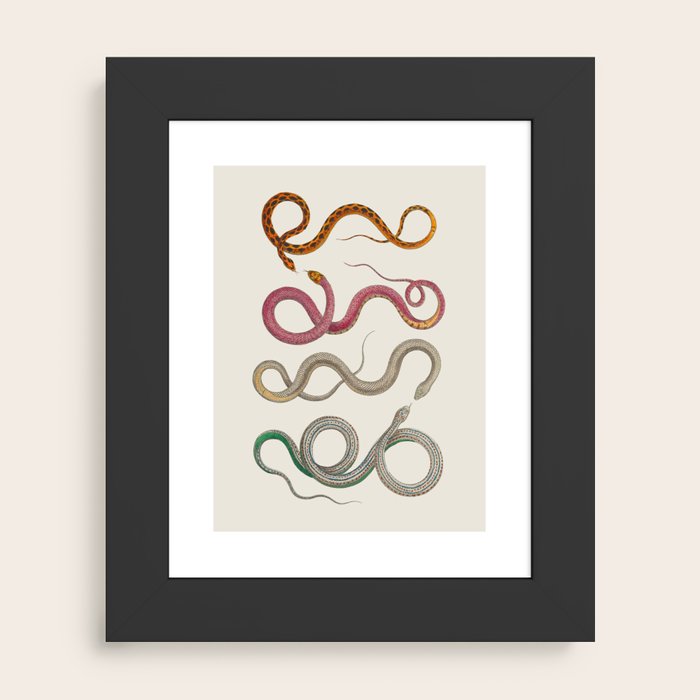 Framed Art Print