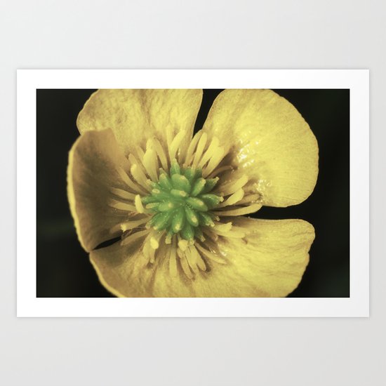 Build me up buttercup Art Print