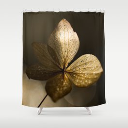Autumn Scene - Dry Petals with Golden Sunset Light #decor #society6 #buyart Shower Curtain