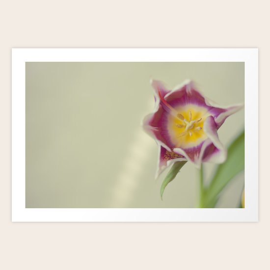 Just Me Art Print