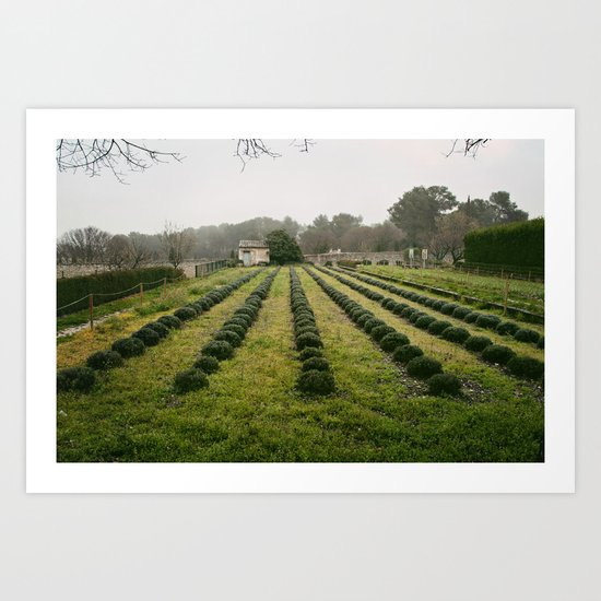 Van Gogh's View Art Print
