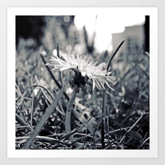 South Park dandelion Art Print