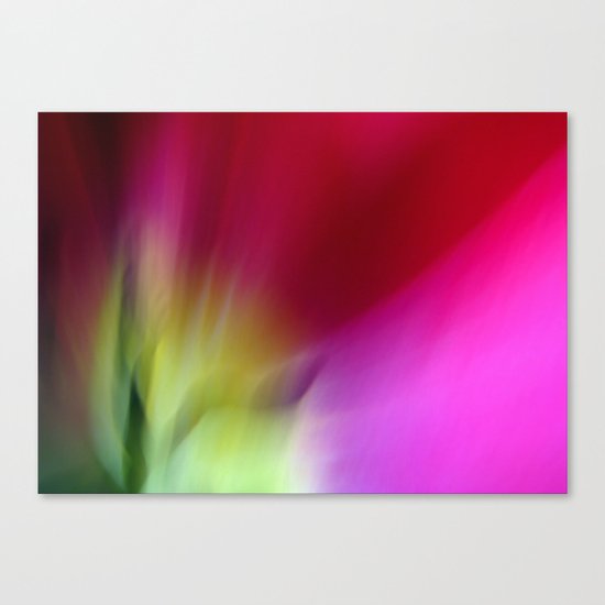 Tulip Sunrise Canvas Print