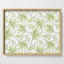 Tea tree leaves seamless pattern. Hand drawn vintage illustration of Melaleuca. Green medicinal plant isolated on white background.  Serving Tray