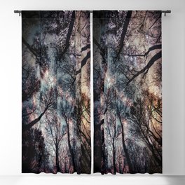 Starry Sky in the Forest Blackout Curtain