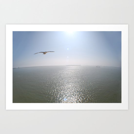 In Flight Art Print