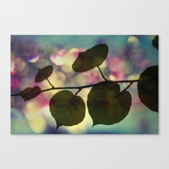 Kiwi leaves Canvas Print