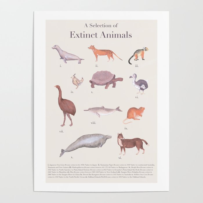 A Selection of Extinct Animals Poster